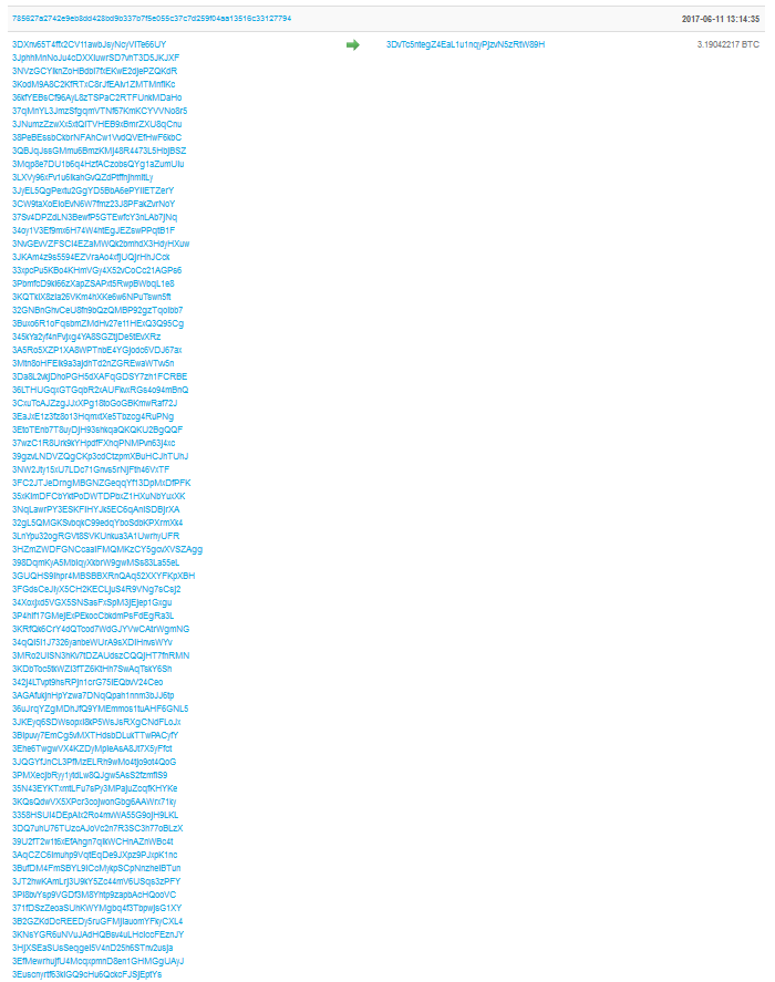 Large Transaction Input Bitcoin
